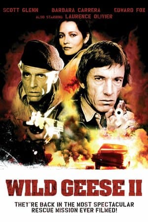 Wild Geese II poster art