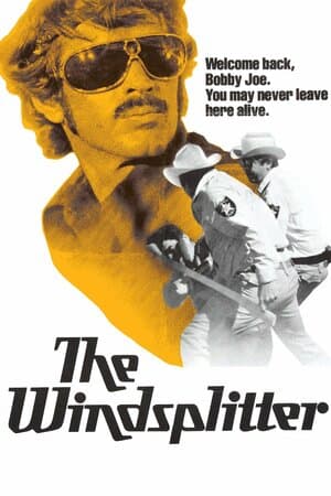 The Windsplitter poster art