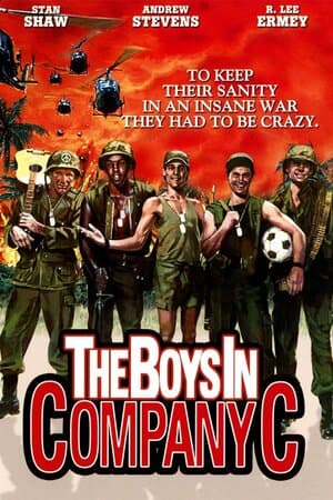 The Boys in Company C poster art