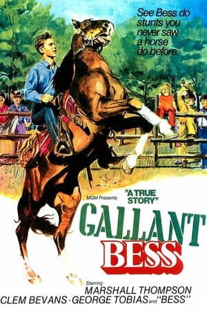 Gallant Bess poster art