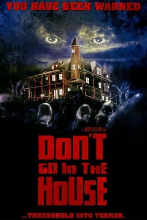 Don't Go in the House poster art