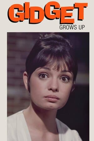 Gidget Grows Up poster art