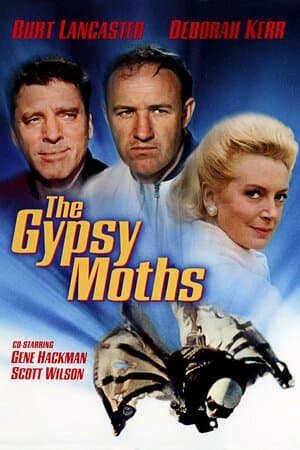 The Gypsy Moths poster art