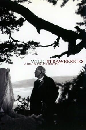 Wild Strawberries poster art