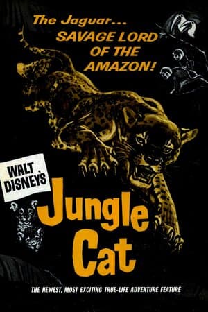 Jungle Cat poster art