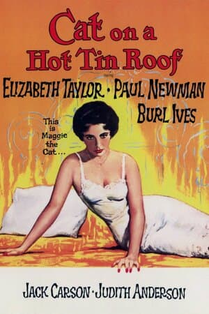 Cat on a Hot Tin Roof poster art