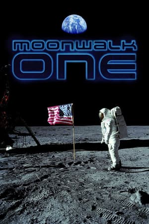 Moonwalk One poster art