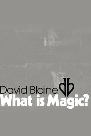 David Blaine: What Is Magic? poster art