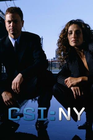 CSI: NY poster art