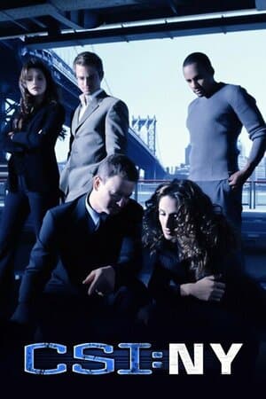 CSI: NY poster art