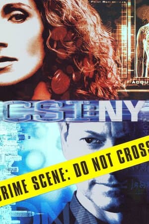 CSI: NY poster art