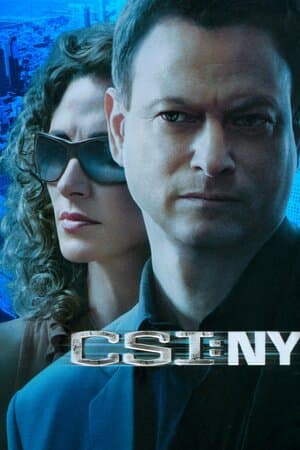 CSI: NY poster art