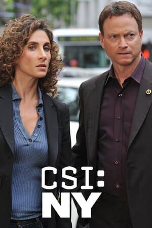 CSI: NY poster art