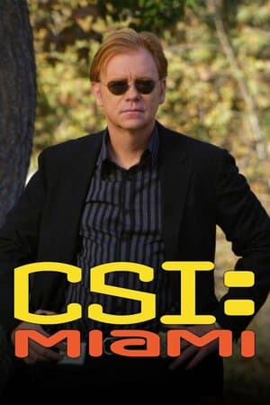 CSI: Miami poster art