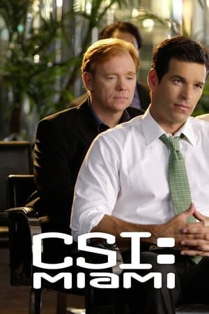 CSI: Miami poster art