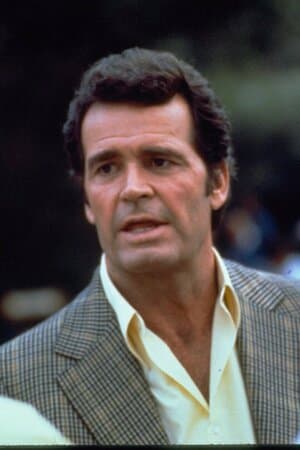 The Rockford Files poster art