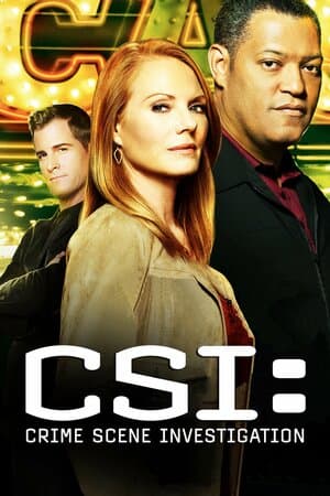 CSI: Crime Scene Investigation poster art