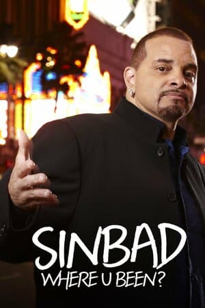 Sinbad: Where U Been? poster art