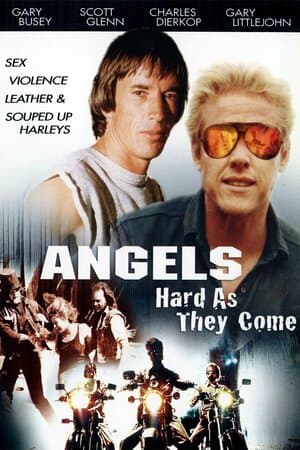 Angels, Hard as They Come poster art