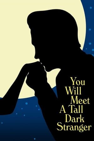 You Will Meet a Tall Dark Stranger poster art