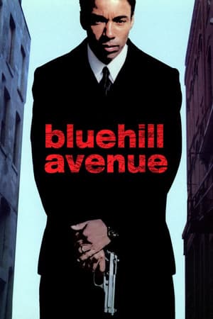 Blue Hill Avenue poster art