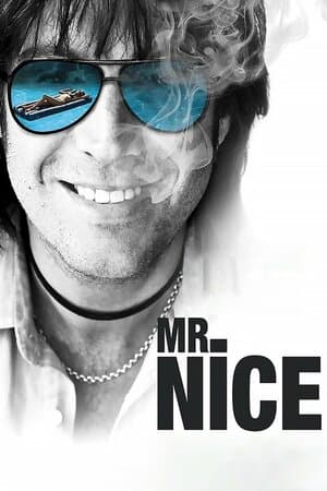 Mr. Nice poster art