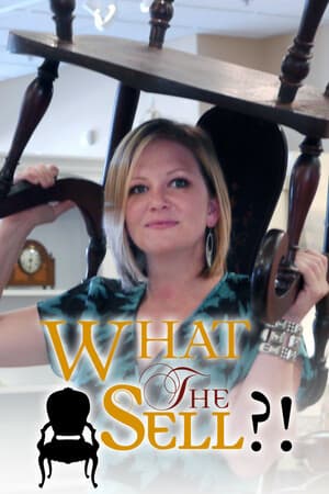 What the Sell?! poster art