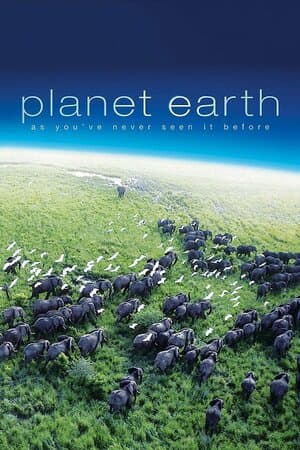 Planet Earth poster art