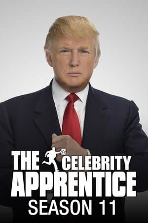 The Celebrity Apprentice poster art