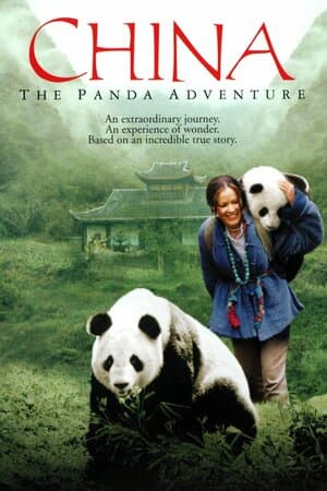 China: The Panda Adventure poster art