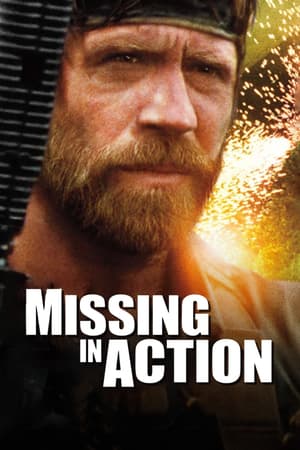 Missing in Action poster art