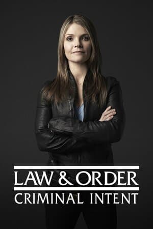 Law & Order: Criminal Intent poster art