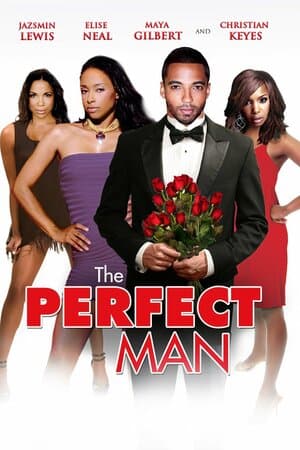 The Perfect Man poster art
