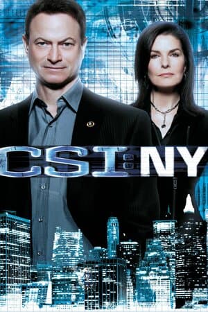 CSI: NY poster art