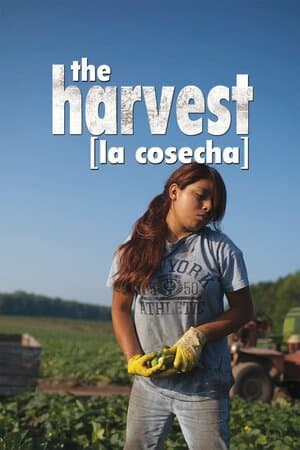 The Harvest poster art