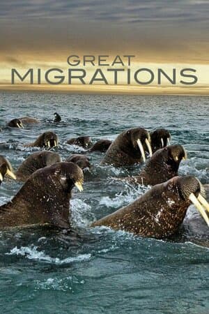 Great Migrations poster art