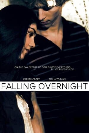 Falling Overnight poster art