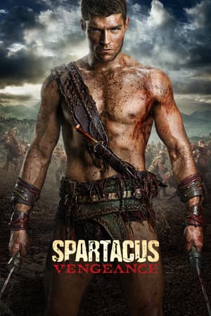 Spartacus: Vengeance poster art