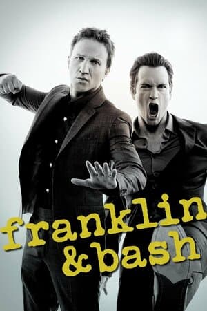 Franklin & Bash poster art