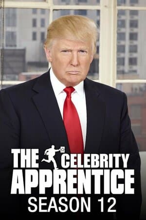 The Celebrity Apprentice poster art