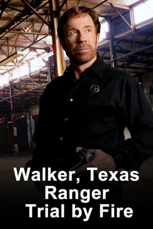 Walker, Texas Ranger: Trial by Fire poster art