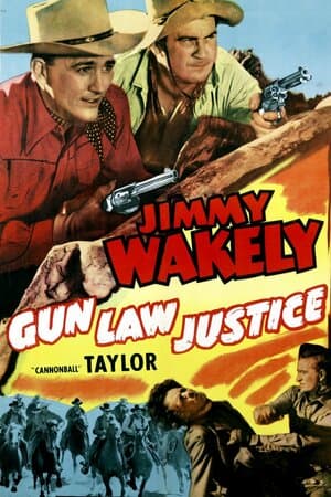 Gun Law Justice poster art