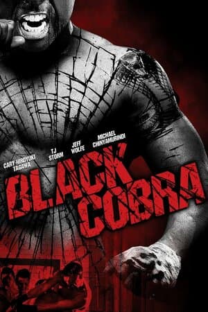 Black Cobra poster art