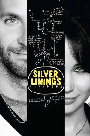 Silver Linings Playbook poster art