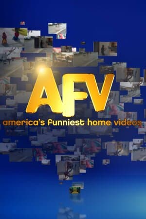 America's Funniest Home Videos poster art