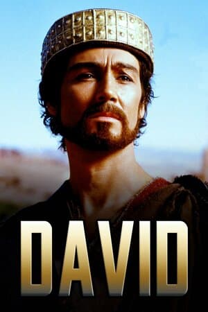 David poster art