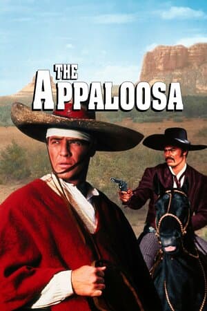 The Appaloosa poster art