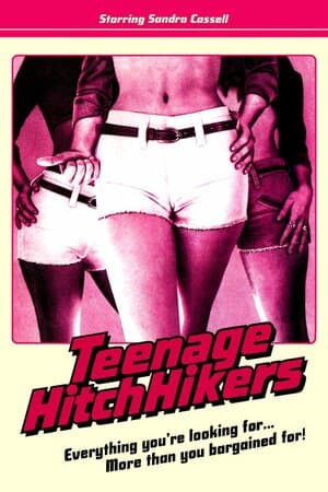 Teenage Hitchhikers poster art