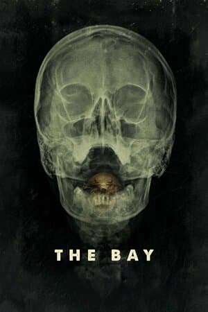 The Bay poster art