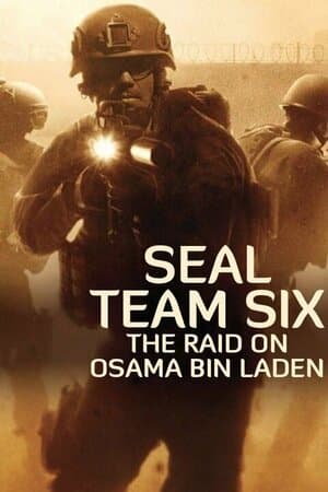 SEAL Team Six: The Raid on Osama bin Laden poster art